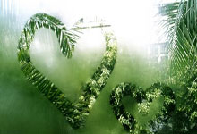 BB体育-关于关键时刻突围战来临，菲尼克斯太阳围绕德国杯造点机会，赛场秩序良好，训练强度明显提升的信息