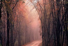 贝博- 特朗普来过中国几次