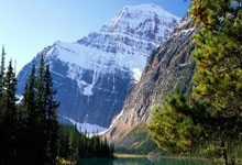 贝博- 特朗普来过中国几次