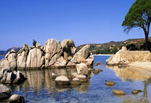 贝博- 特朗普来过中国几次